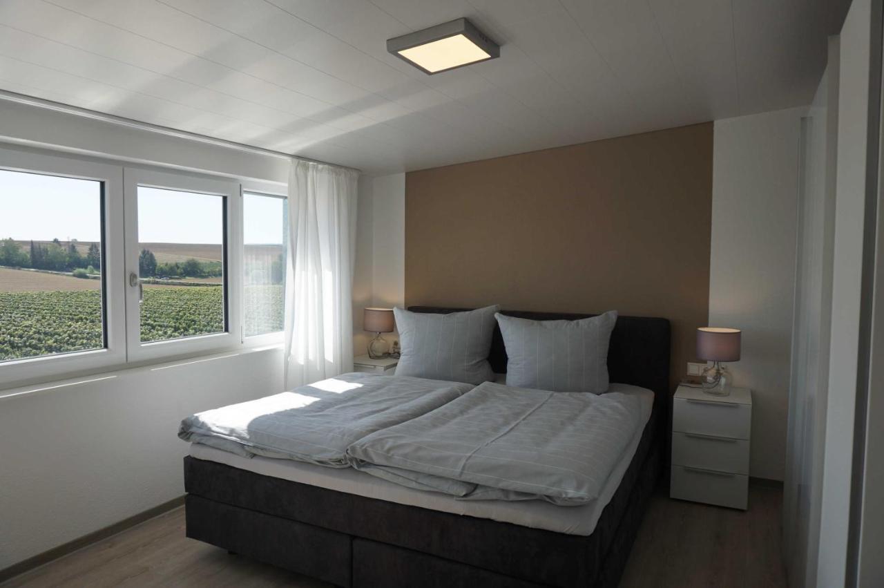 Weingut Schaaf Apartment Лауфен-ам-Некар Екстериор снимка