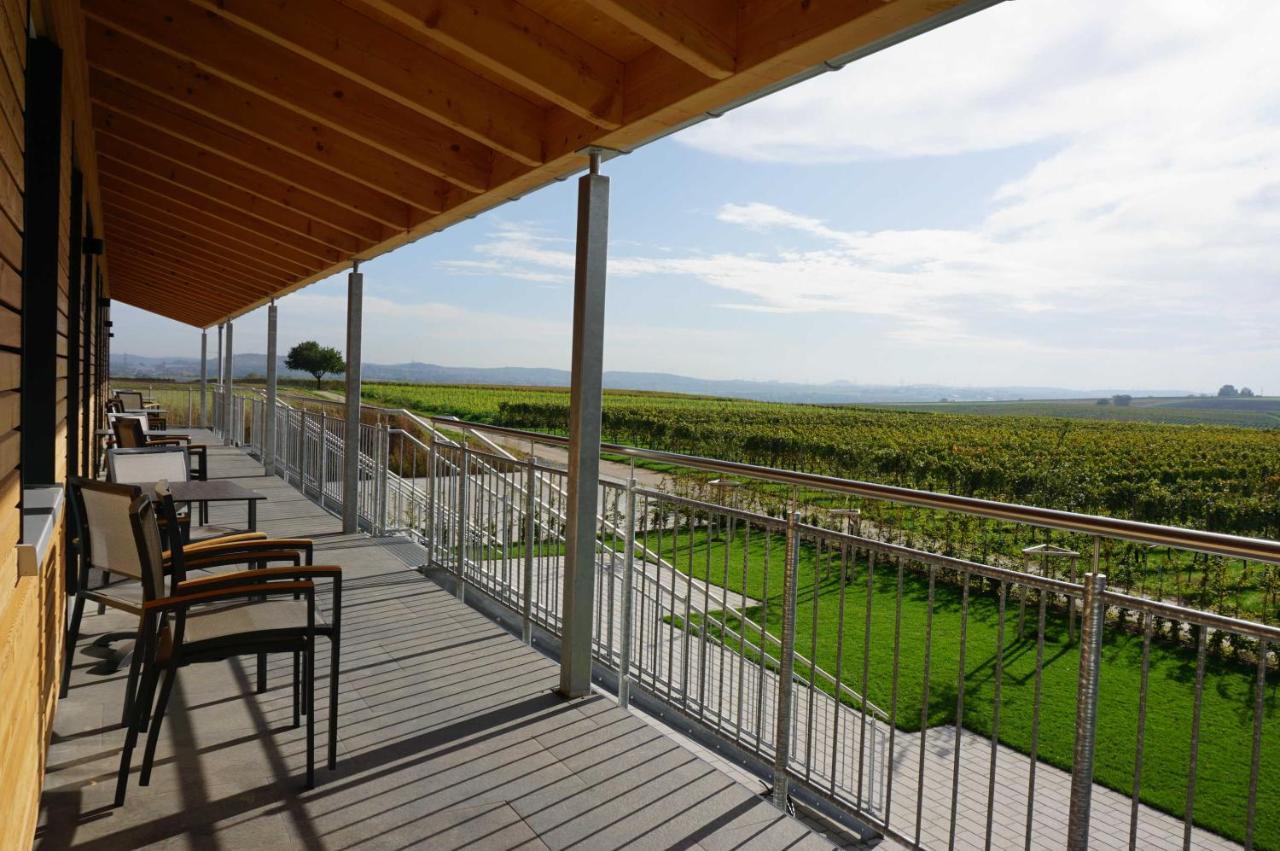 Weingut Schaaf Apartment Лауфен-ам-Некар Екстериор снимка